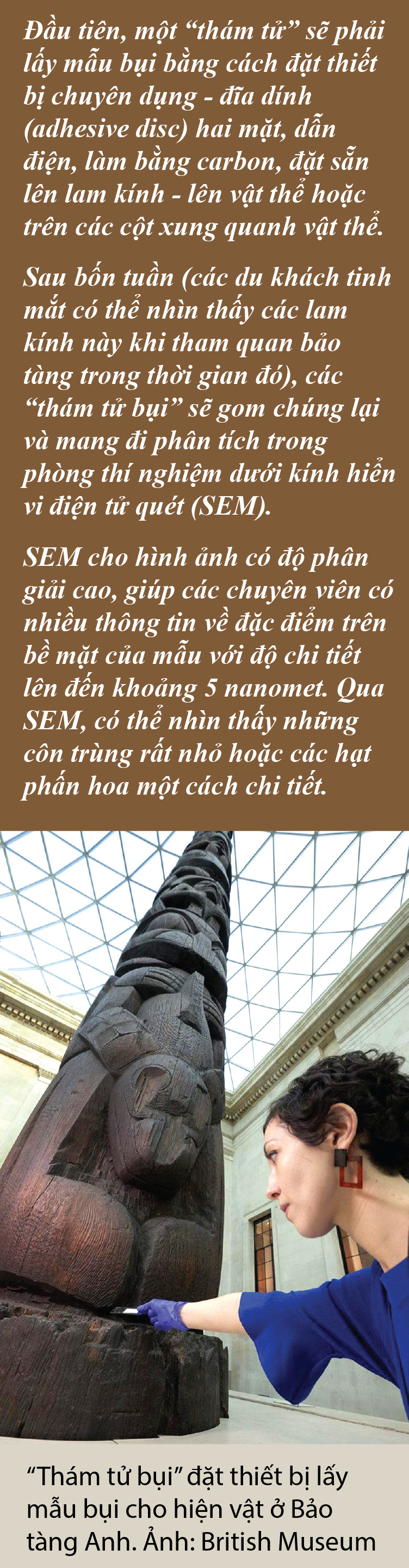 Có hạt bụi nào rơi trong... bảo tàng - Ảnh 11.