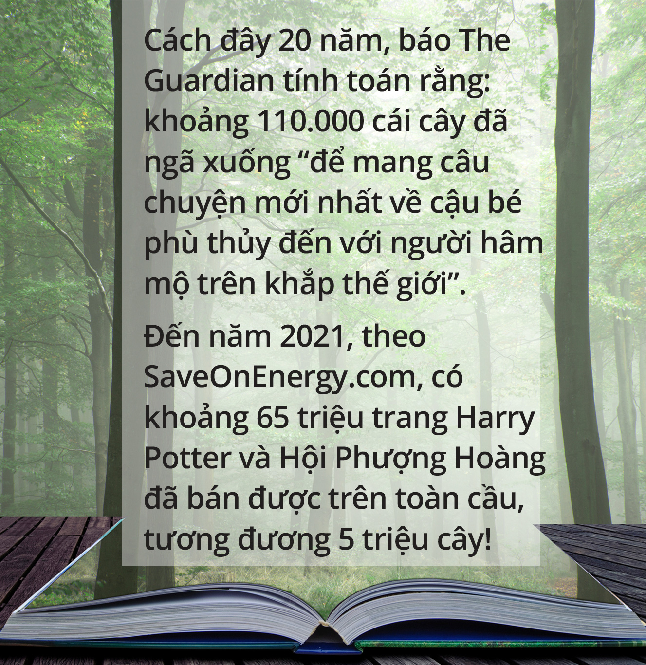 Thay nét chữ, giữ nghìn cây - Ảnh 2.