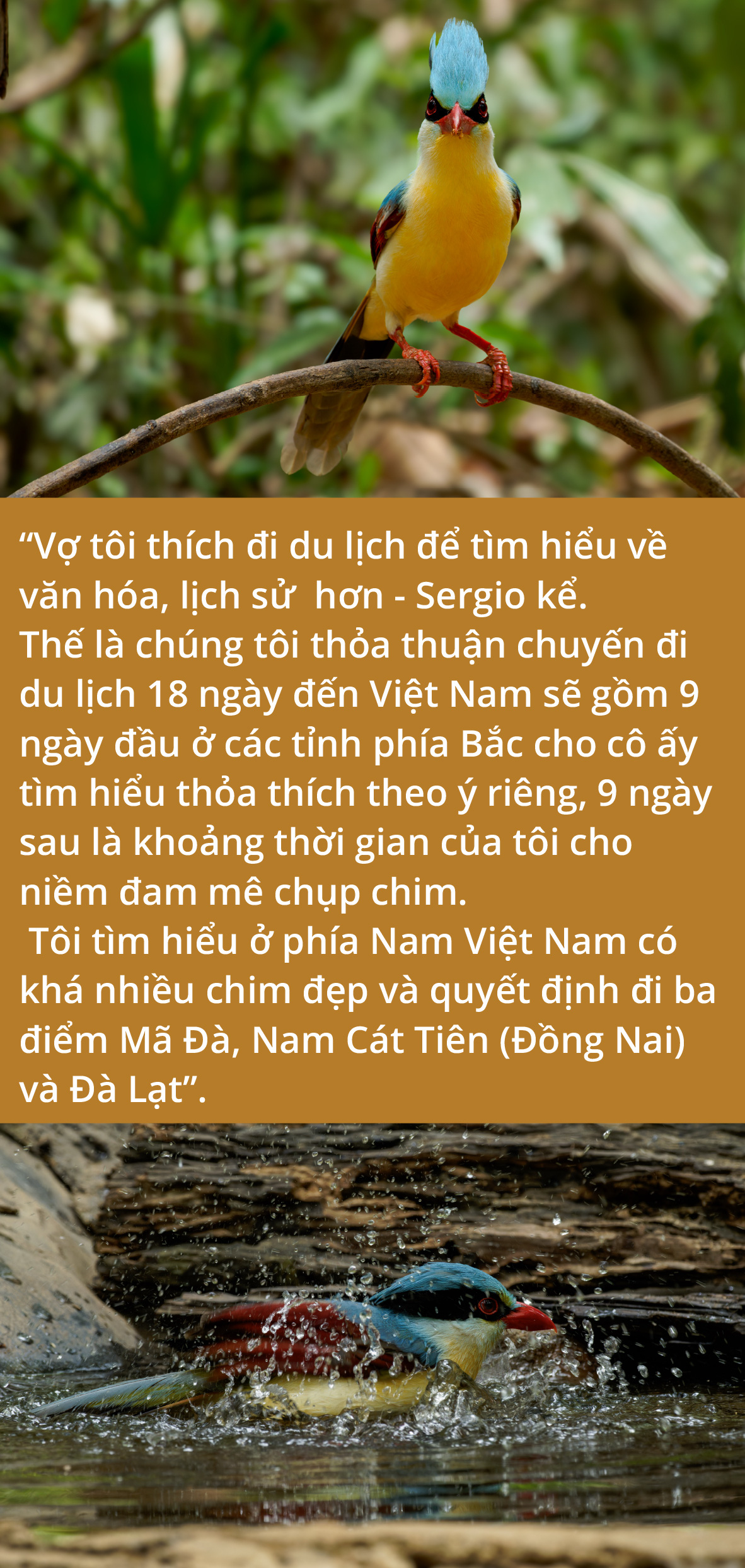 Việt Nam là miền đất hứa mới cho người mê chim - Ảnh 3.