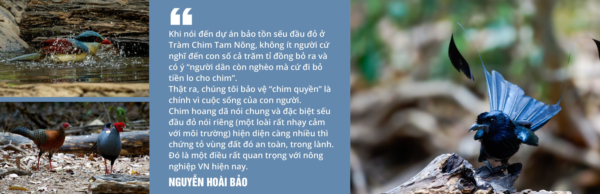 Việt Nam là miền đất hứa mới cho người mê chim - Ảnh 12.