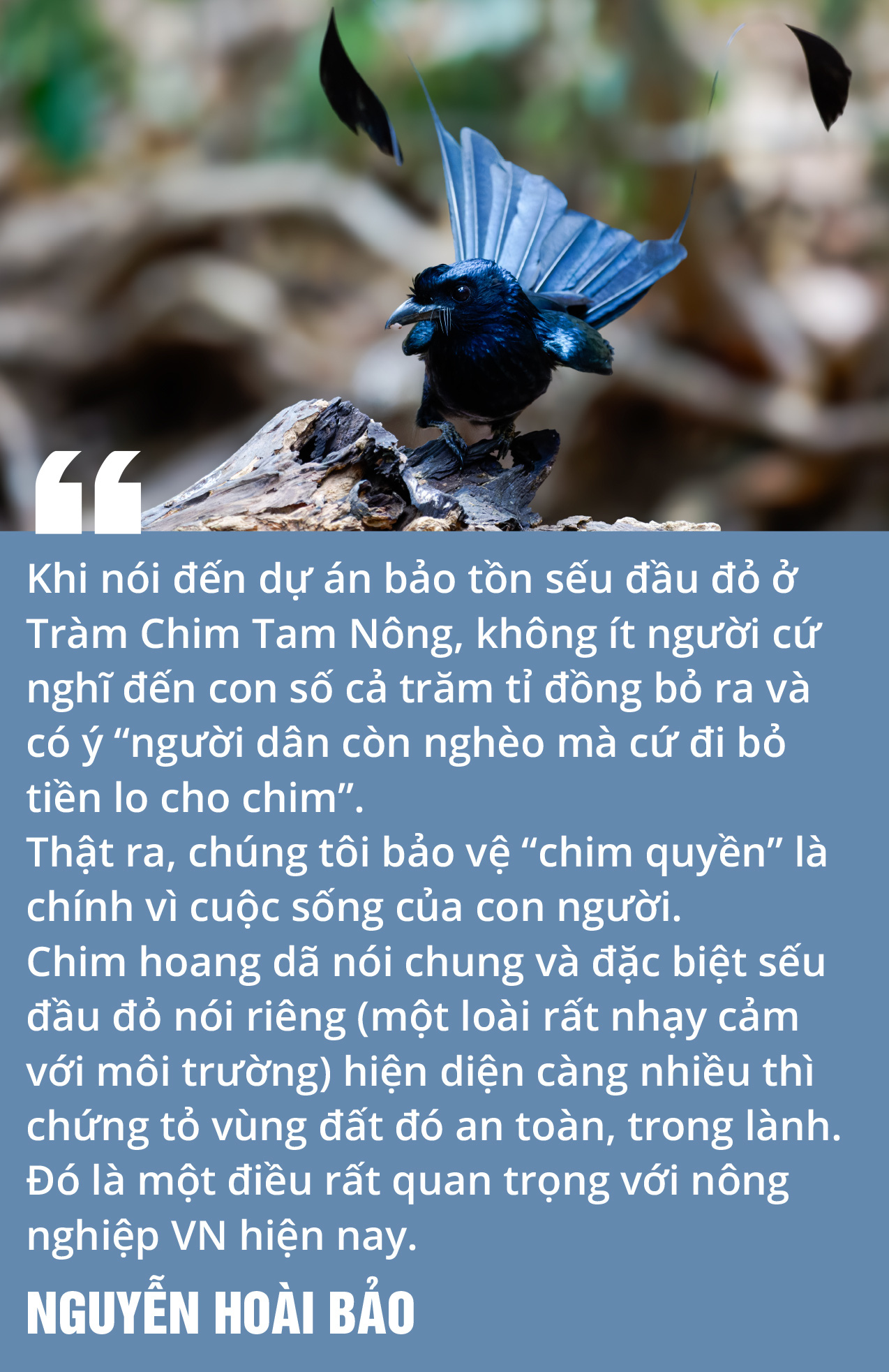 Việt Nam là miền đất hứa mới cho người mê chim - Ảnh 12.