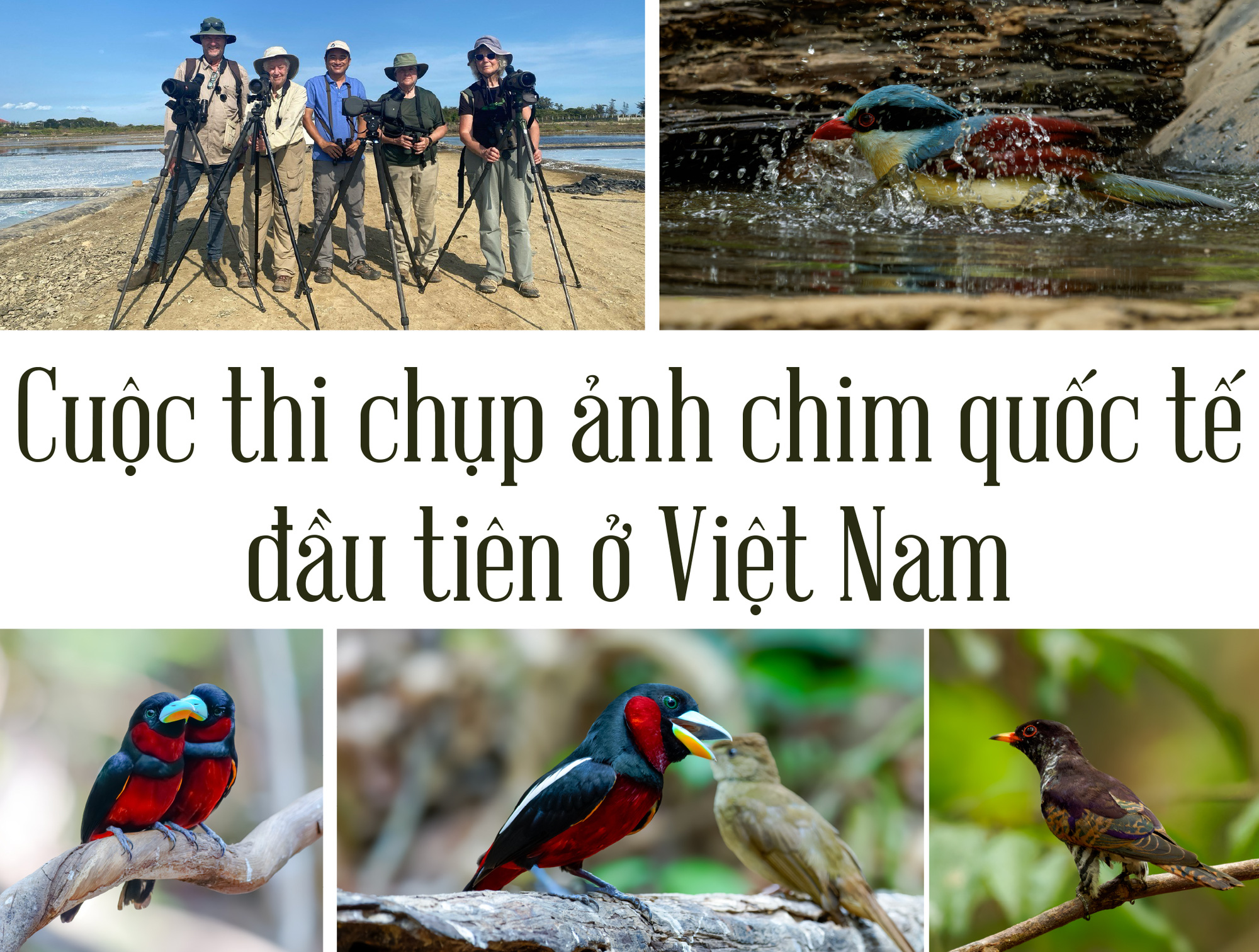 Việt Nam là miền đất hứa mới cho người mê chim - Ảnh 13.