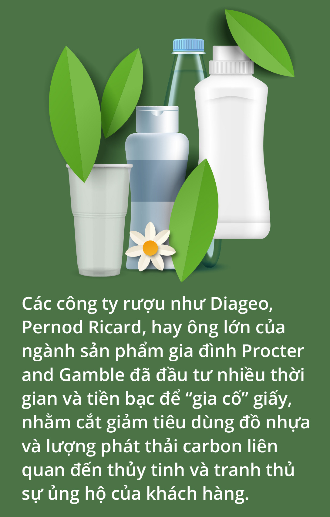 Chai giấy không còn là ý tưởng trên giấy - Ảnh 6.