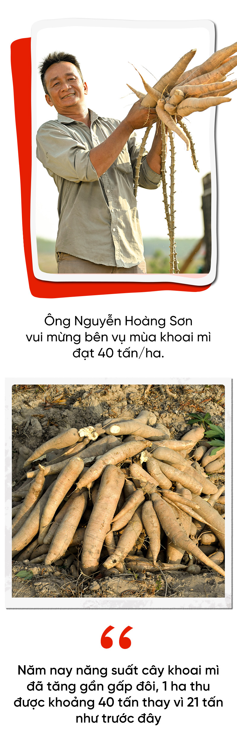 Dự án Khoai mì bền vững của Ajinomoto: Năng suất tăng gần gấp đôi - Ảnh 8.
