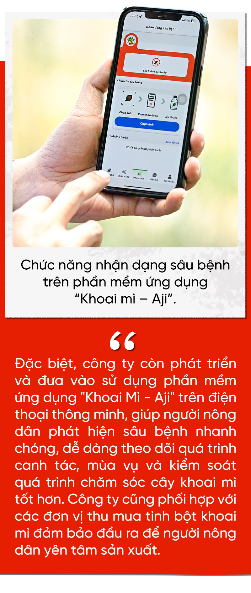 Dự án Khoai mì bền vững của Ajinomoto: Năng suất tăng gần gấp đôi - Ảnh 5.