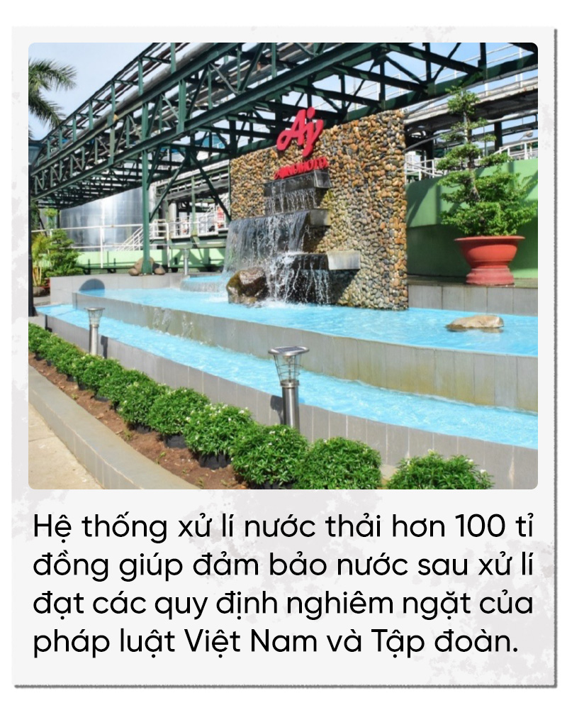 Dự án Khoai mì bền vững của Ajinomoto: Năng suất tăng gần gấp đôi - Ảnh 12.