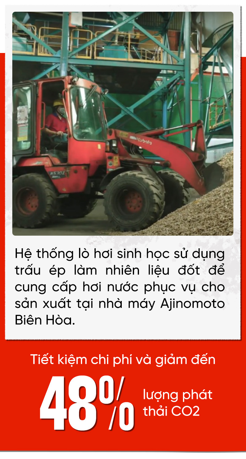 Dự án Khoai mì bền vững của Ajinomoto: Năng suất tăng gần gấp đôi - Ảnh 11.