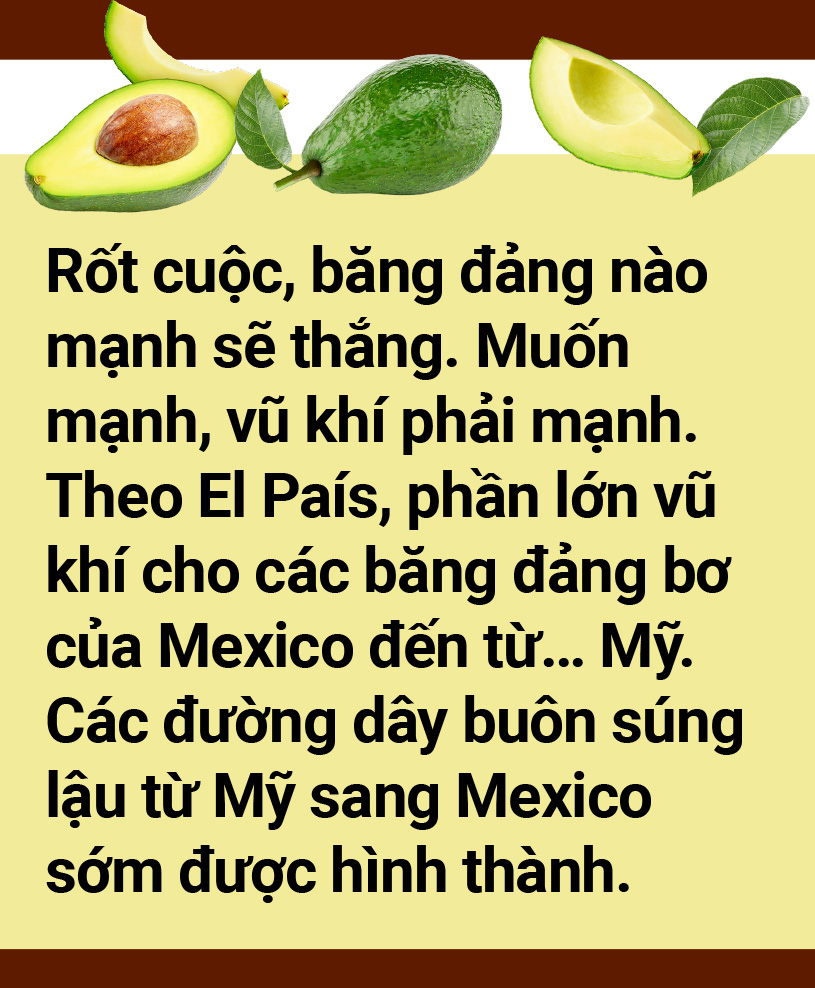 Tản mạn về quả bơ - Ảnh 20.