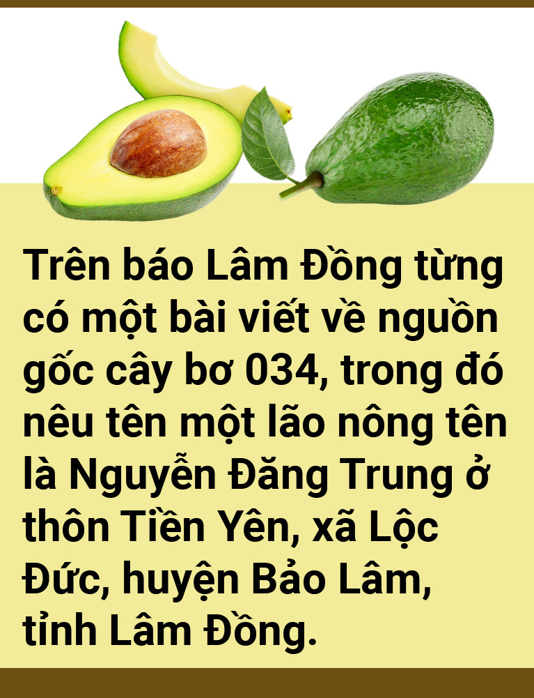 Tản mạn về quả bơ - Ảnh 5.