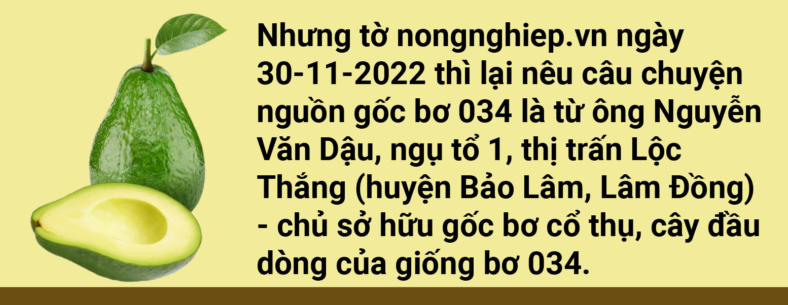 Tản mạn về quả bơ - Ảnh 6.