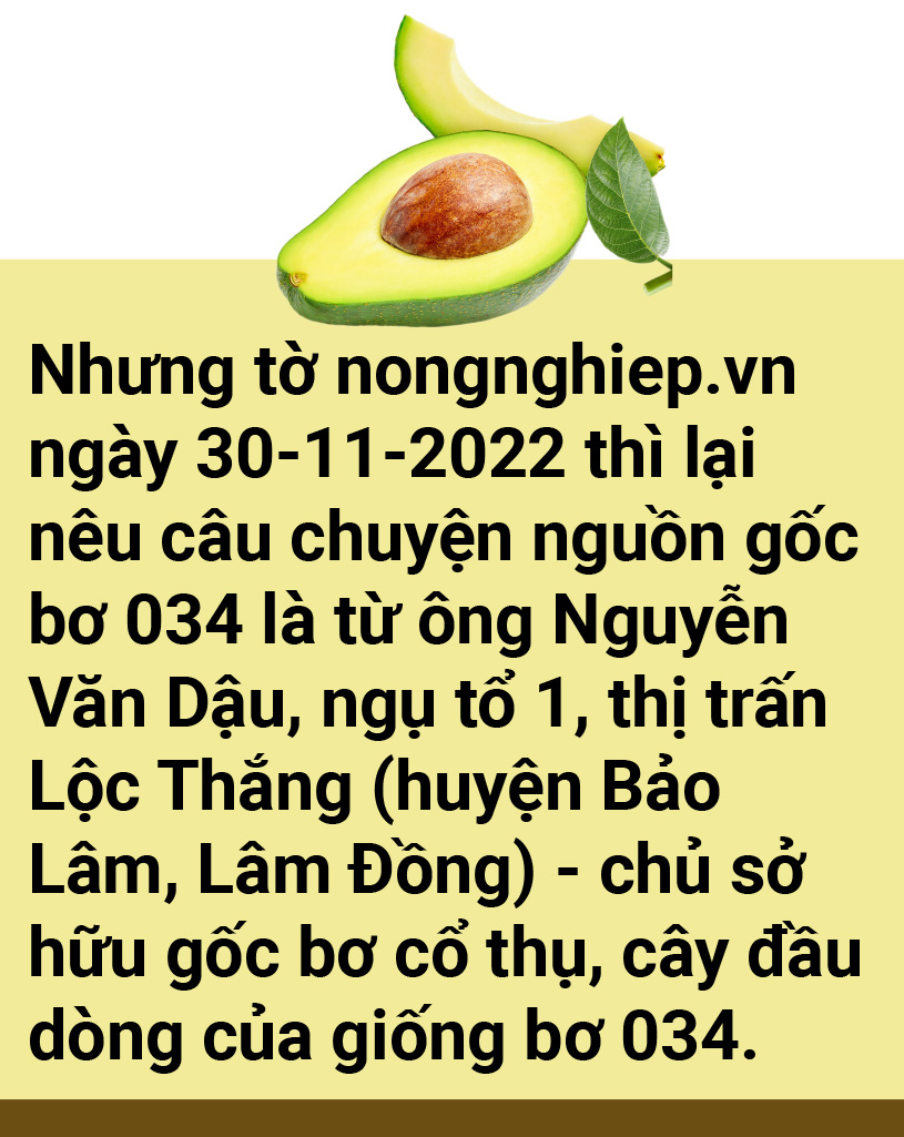 Tản mạn về quả bơ - Ảnh 6.