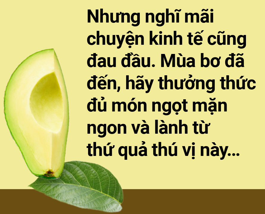 Tản mạn về quả bơ - Ảnh 12.