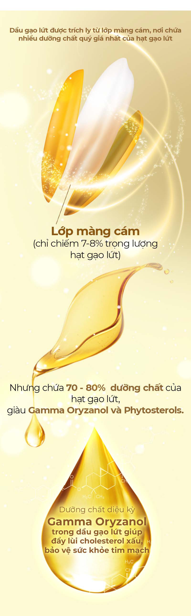 Hành trình từ hạt gạo nâu đến giọt dầu đặc biệt nuôi dưỡng trái tim - Ảnh 3.