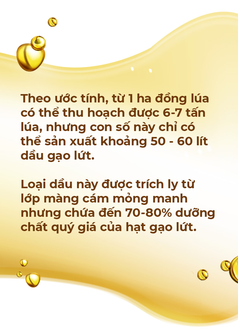 Hành trình từ hạt gạo nâu đến giọt dầu đặc biệt nuôi dưỡng trái tim - Ảnh 1.