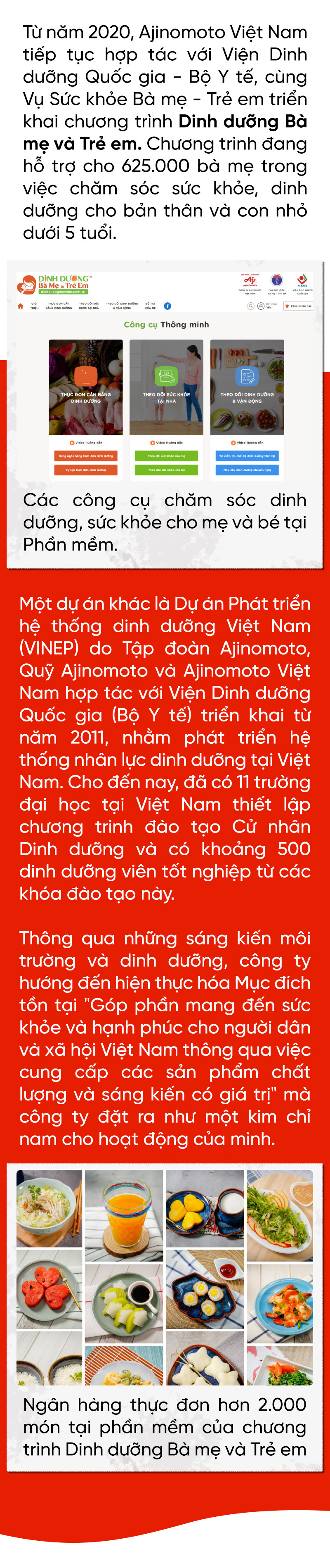 Dự án Khoai mì bền vững của Ajinomoto: Năng suất tăng gần gấp đôi - Ảnh 14.