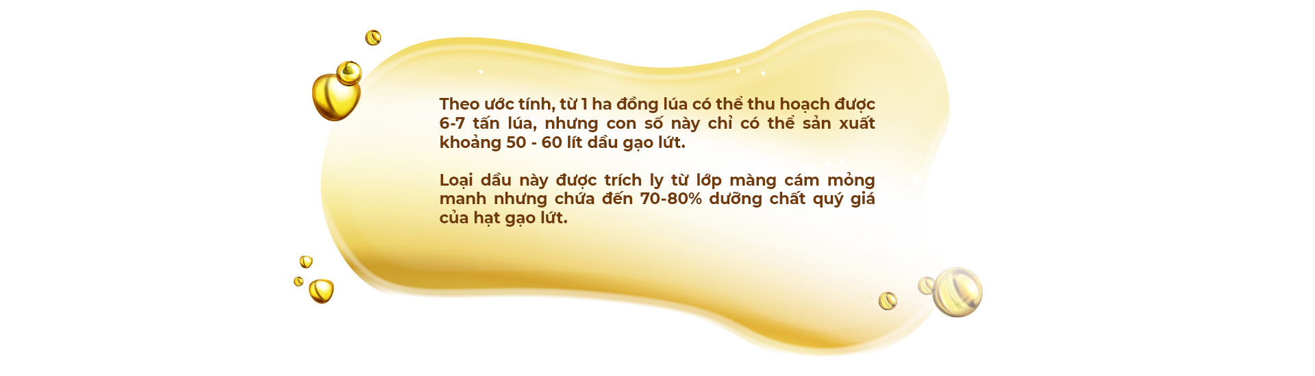 Hành trình từ hạt gạo nâu đến giọt dầu đặc biệt nuôi dưỡng trái tim - Ảnh 1.