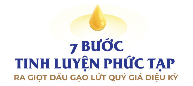 Hành trình từ hạt gạo nâu đến giọt dầu đặc biệt nuôi dưỡng trái tim - Ảnh 9.