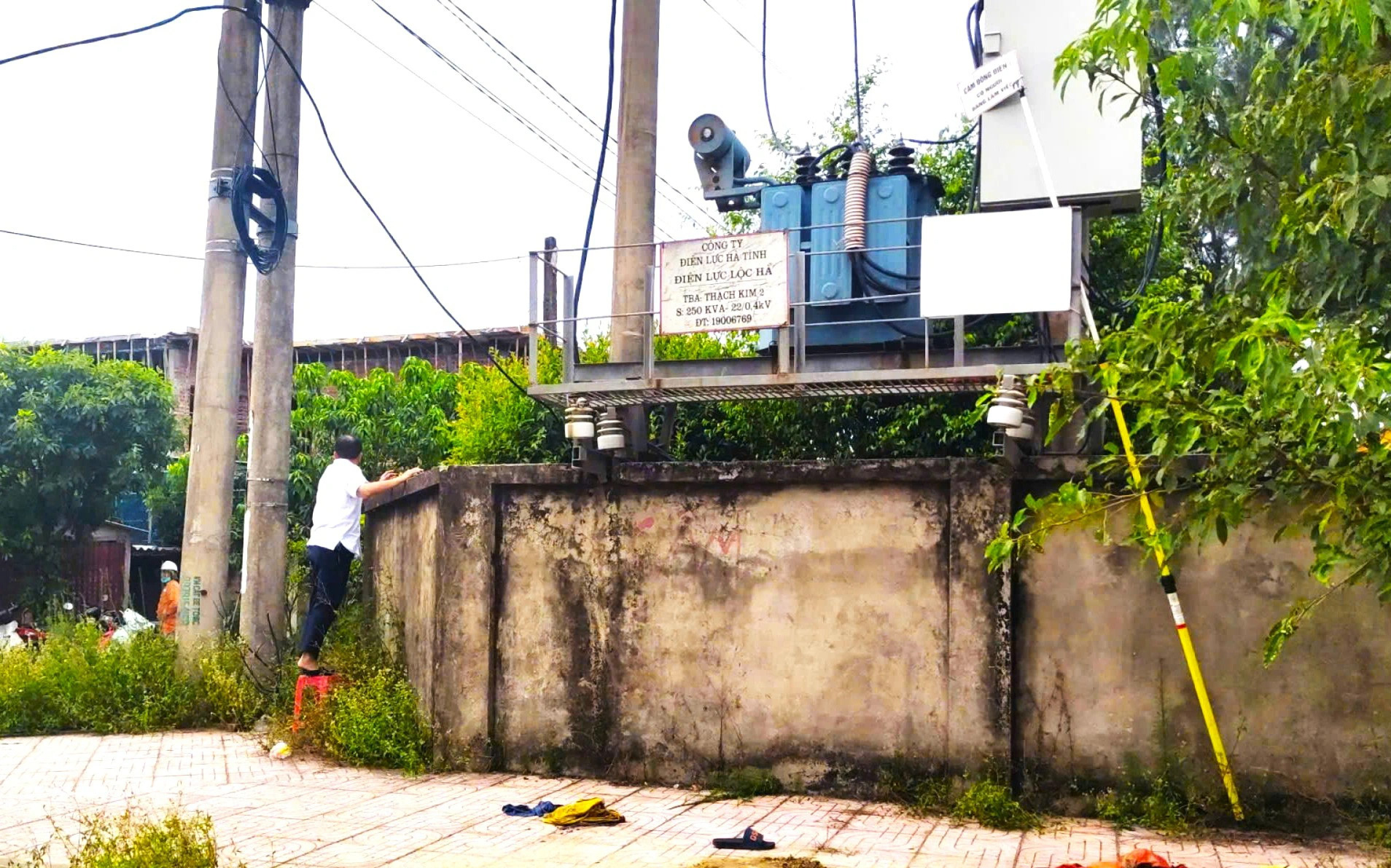 Trèo lên trụ điện bắt ong vò vẽ, nam thanh niên tử vong thương tâm - Ảnh 1.