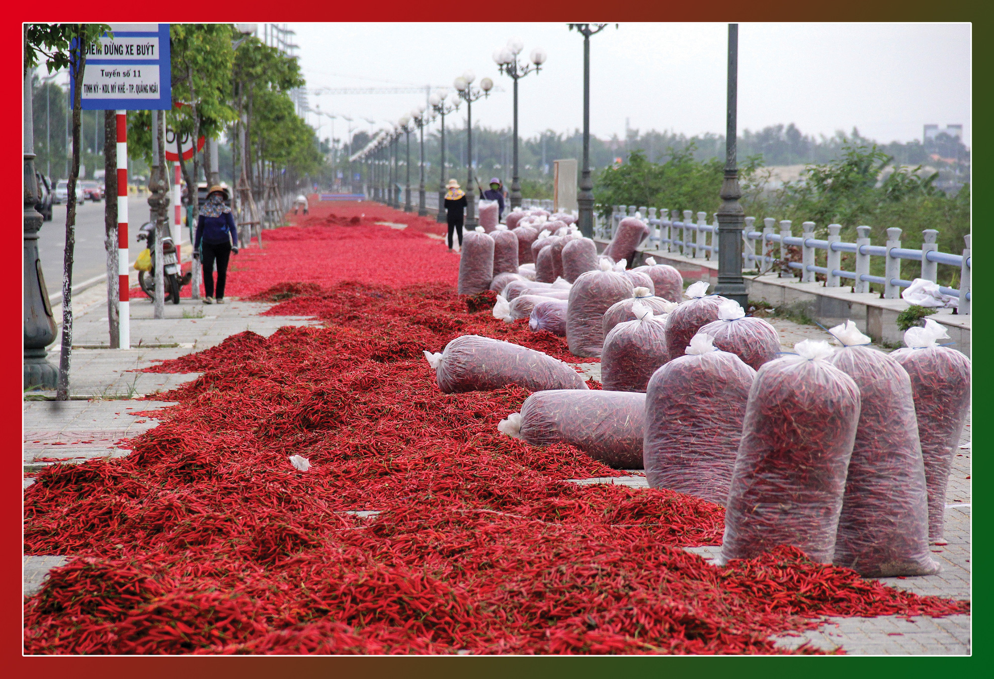 Ăn cay và xứ sở - Ảnh 28.