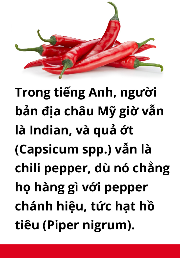 Ăn cay và xứ sở - Ảnh 3.