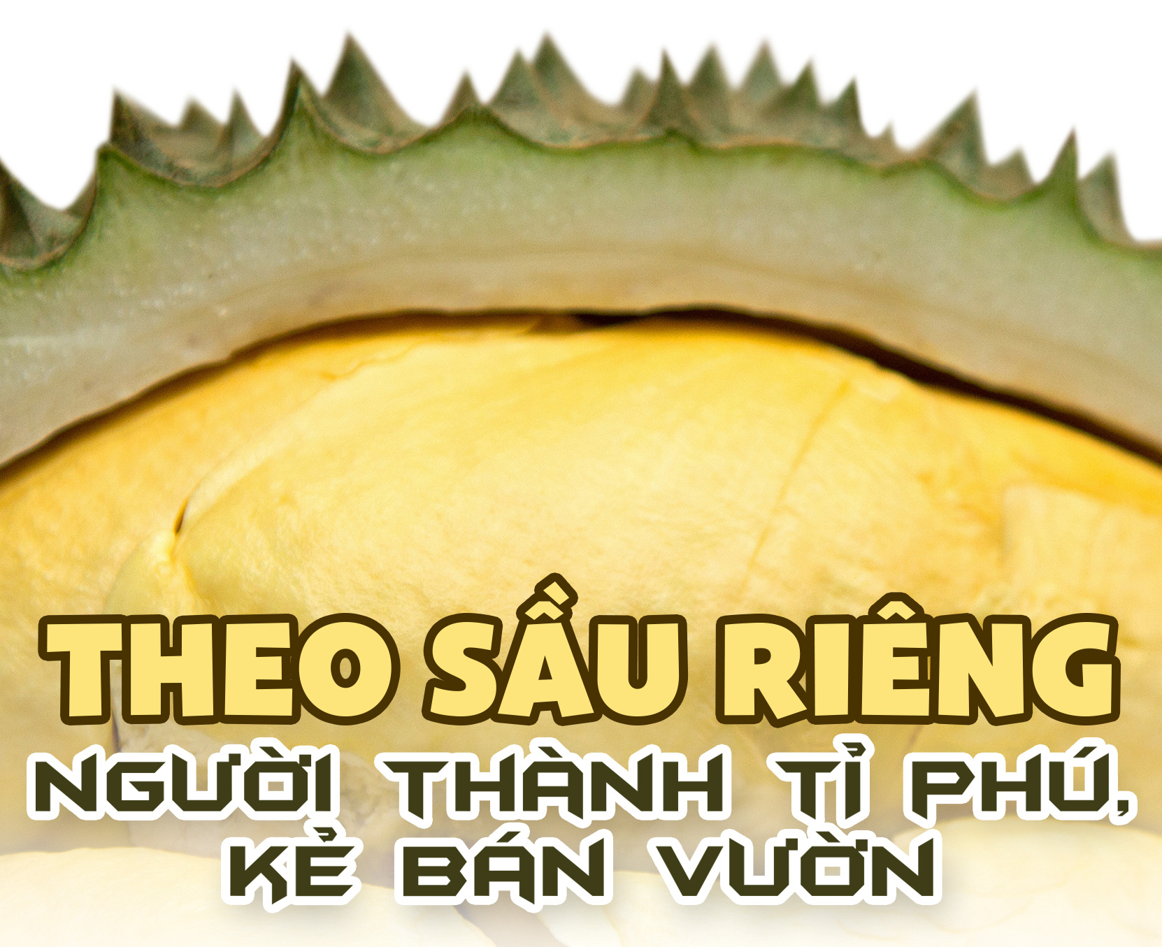 Canh bạc sầu riêng - Ảnh 2.