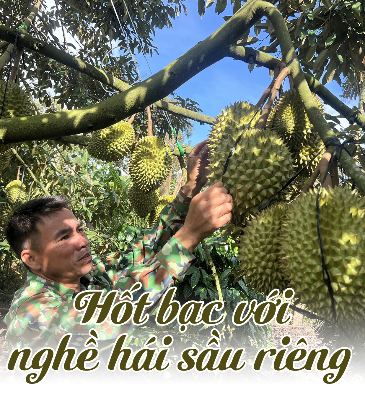 Canh bạc sầu riêng - Ảnh 11.