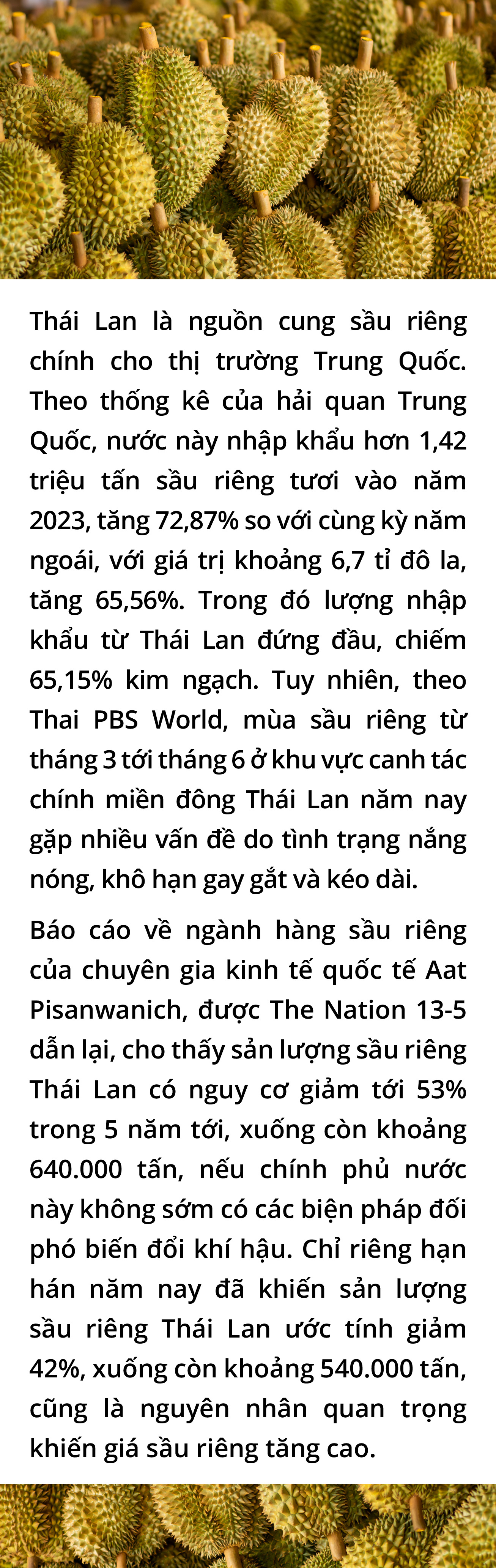 Canh bạc sầu riêng - Ảnh 20.