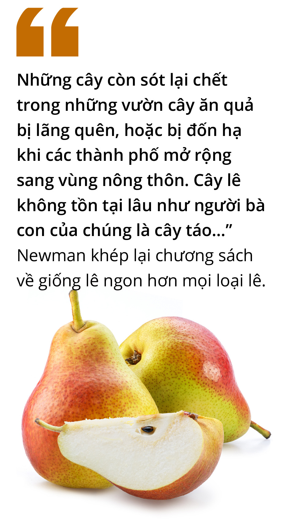 Trái cây cũng tuyệt chủng chứ - Ảnh 7.