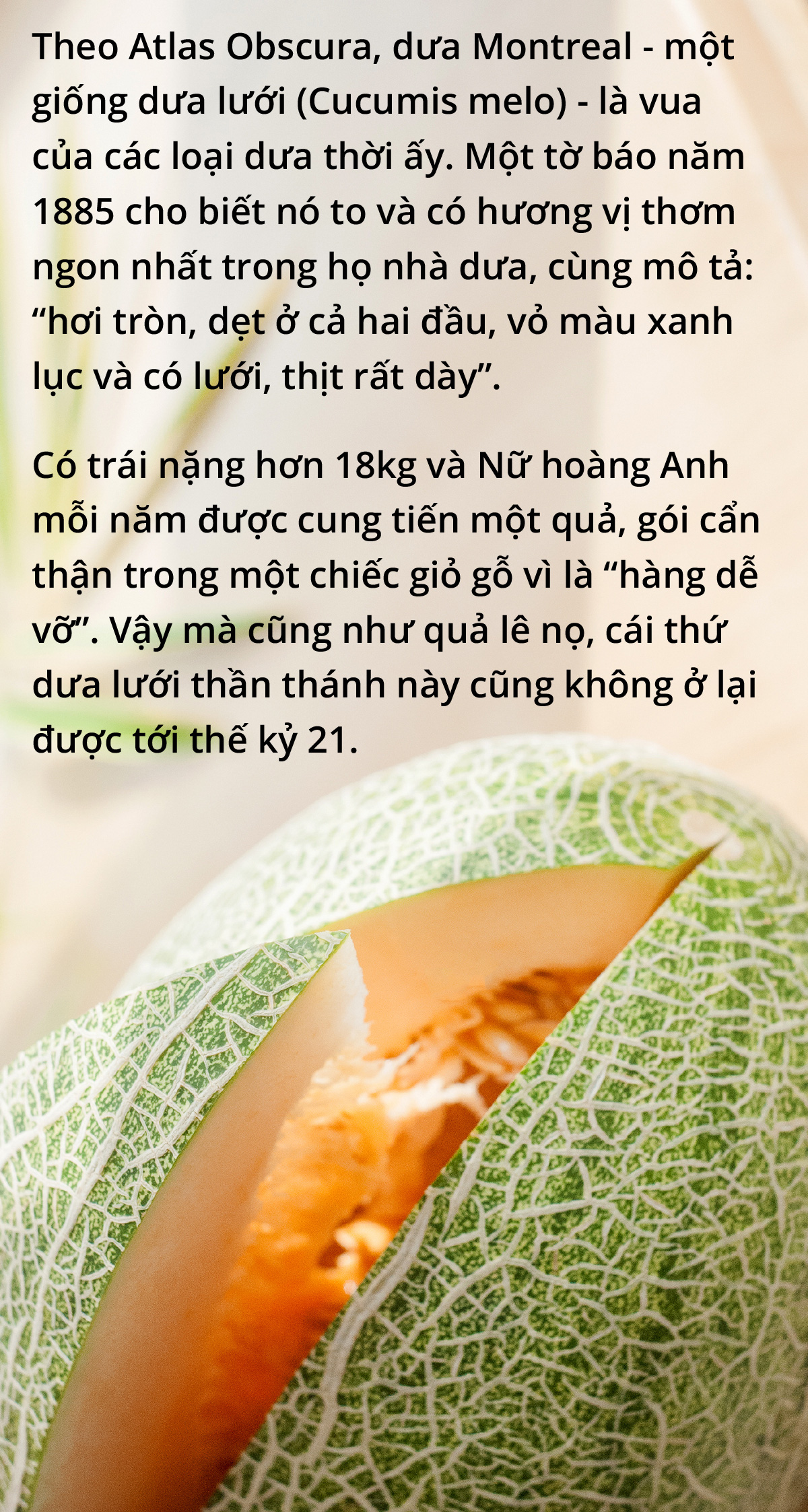 Trái cây cũng tuyệt chủng chứ - Ảnh 9.
