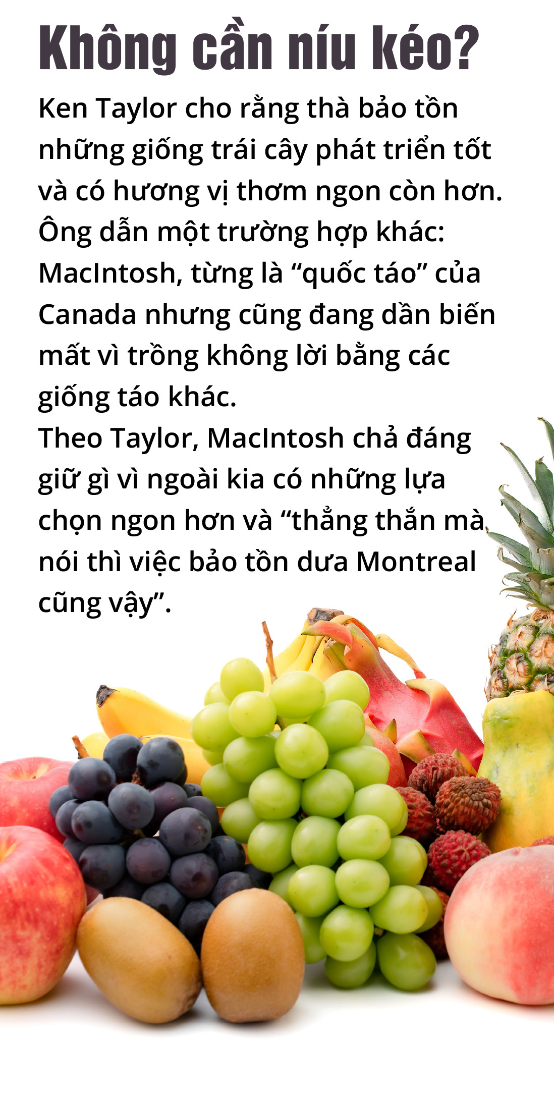 Trái cây cũng tuyệt chủng chứ - Ảnh 15.