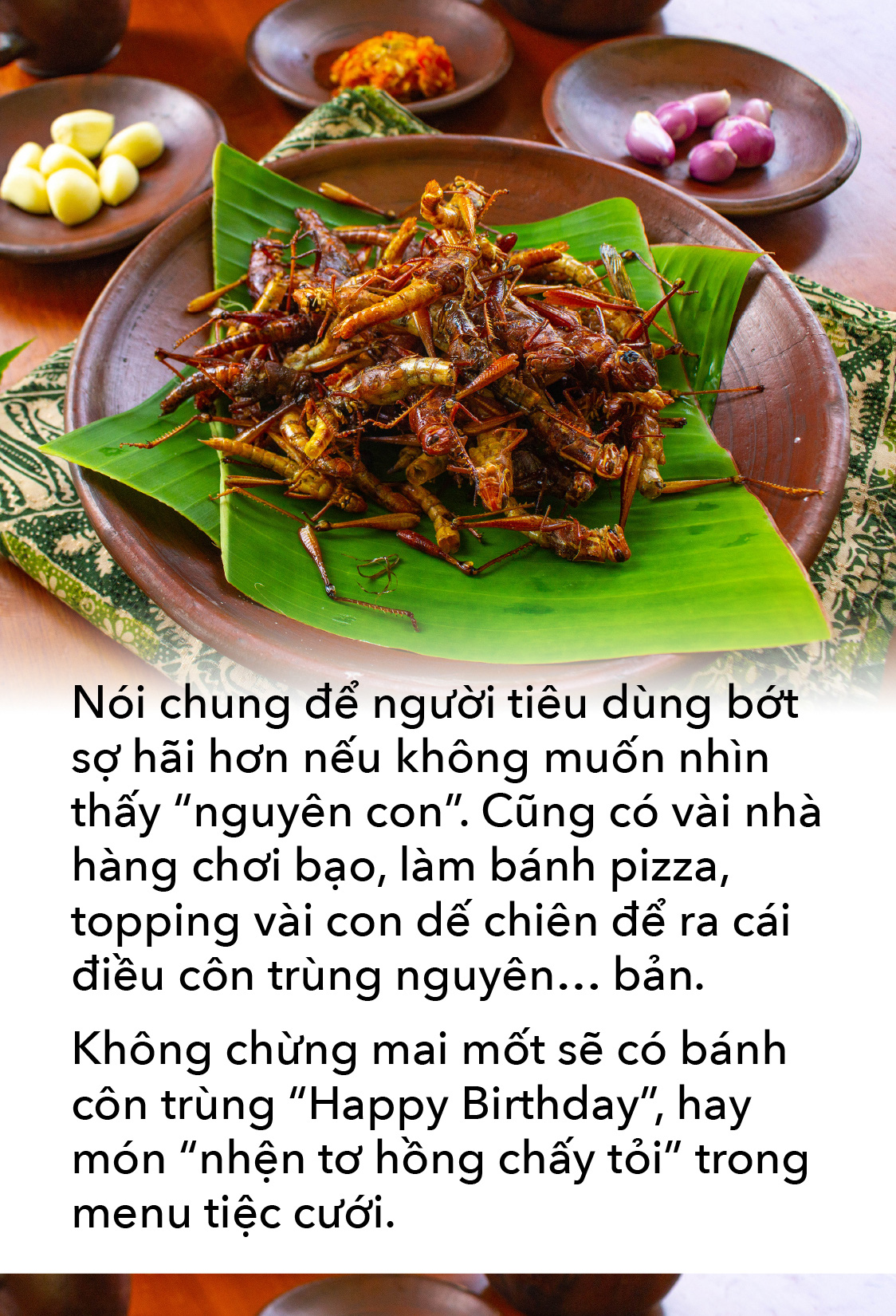 Món côn trùng, bếp núc ngày càng sáng tạo - Ảnh 12.
