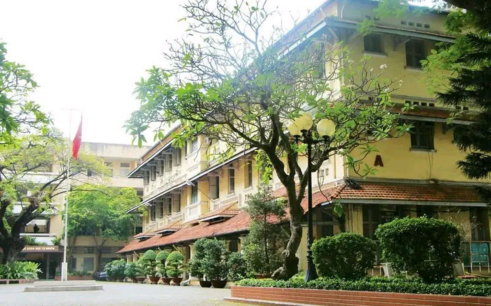 Bức rèm xanh bất ngờ xuất hiện tại Trường đại học Khoa học Tự nhiên TP.HCM - Ảnh 2.