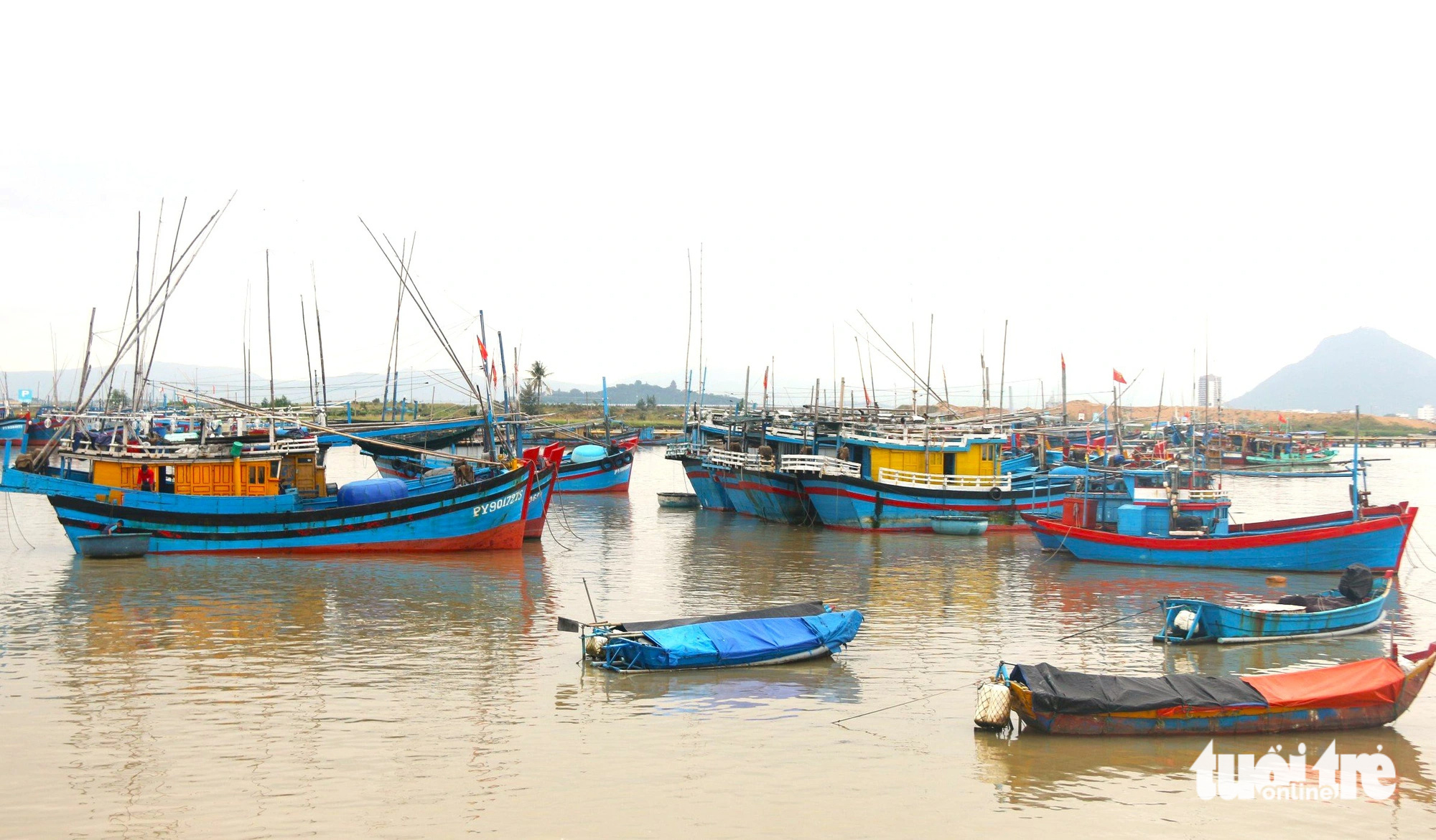 Tàu cá ở phường Phú Đông (TP Tuy Hòa, tỉnh Phú Yên) - Ảnh: NGUYỄN HOÀNG Tàu cá đang neo đậu ở cảng cá Đông Tác (phường Phú Đông, thành phố Tuy Hòa, tỉnh Phú Yên) - Ảnh: NGUYỄN HOÀNG