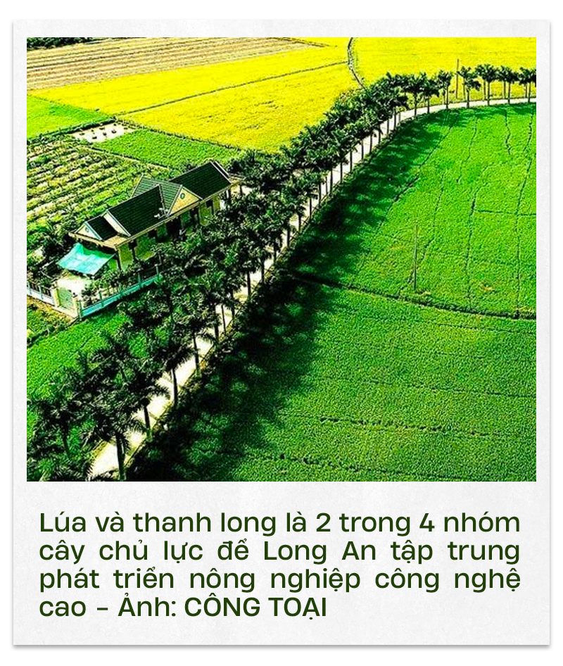 Long An hình thành nhiều trục kinh tế phát triển, nâng cao năng lực cạnh tranh - Ảnh 1.