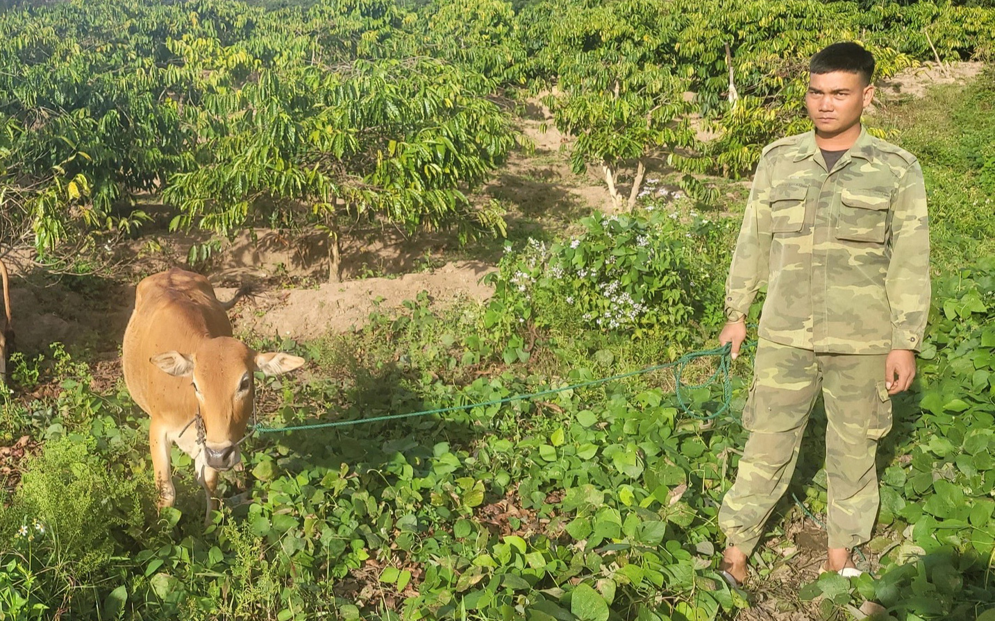 Cảnh cáo ông Hồ Hải Tần, phó giám đốc Sở Nội vụ tỉnh Gia Lai - Ảnh 2.