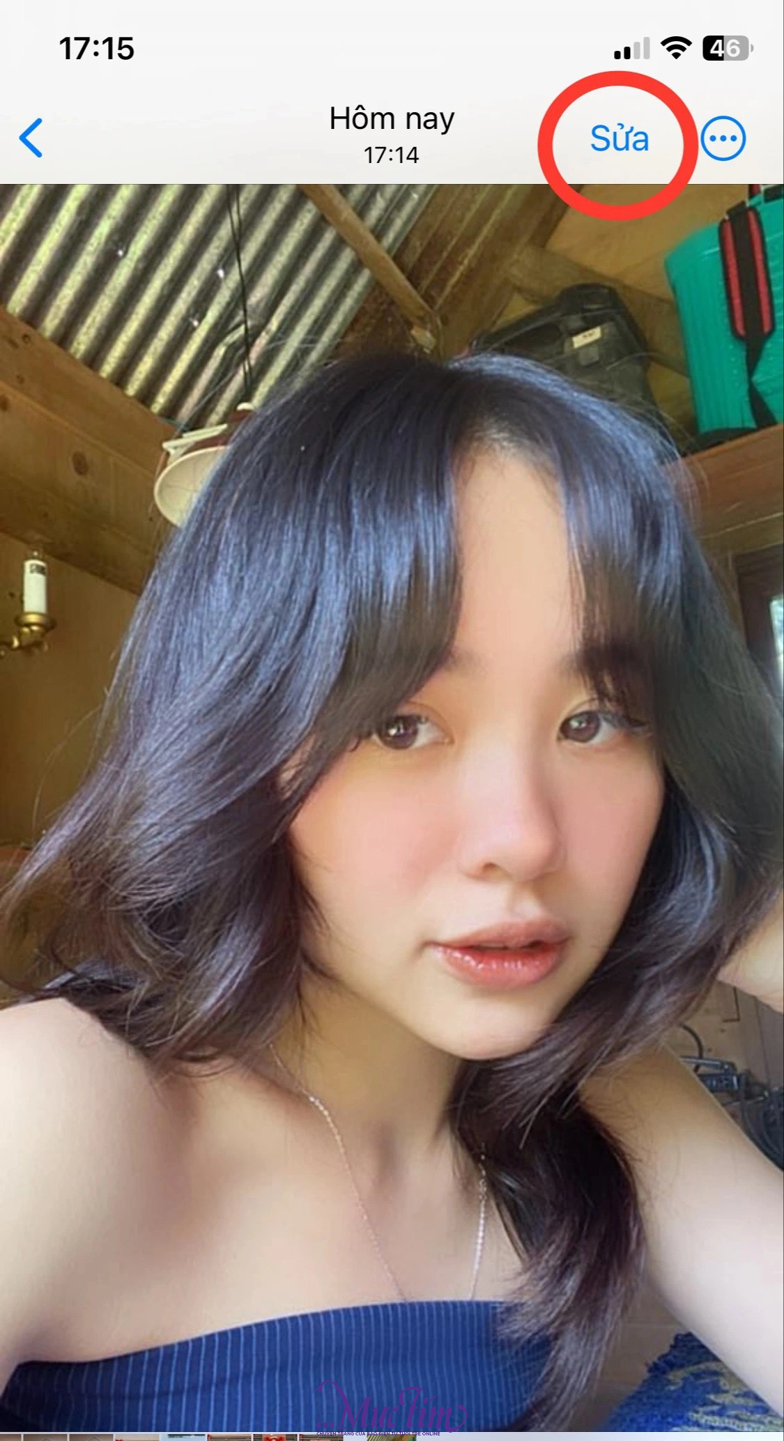 Cách tìm màu sắc cá nhân bằng ChatGPT- Ảnh 2.