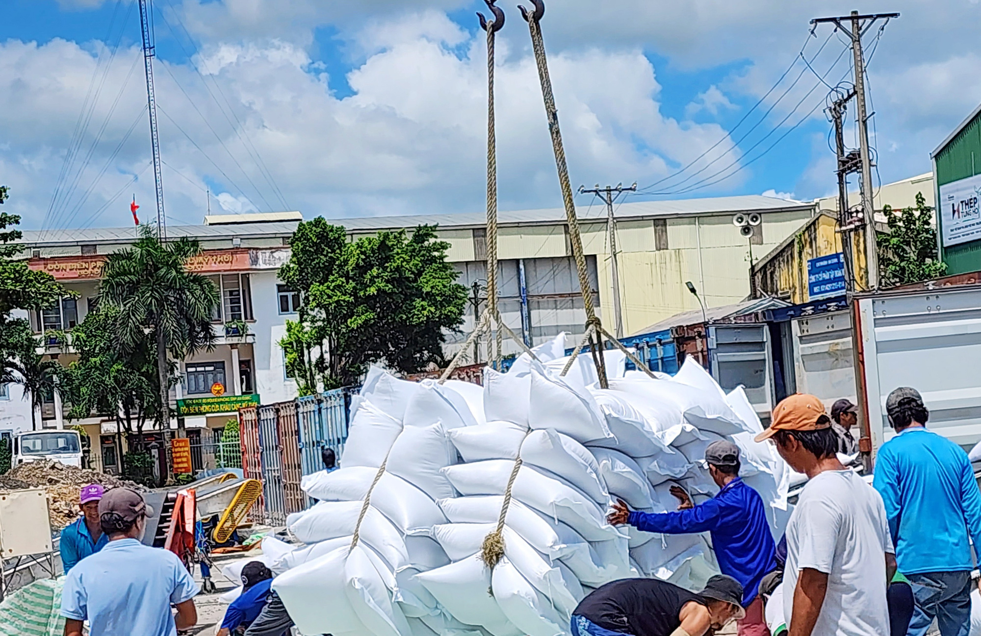 Thủ tướng chỉ đạo tăng mua lúa gạo tạm trữ, thanh kiểm tra để ngăn ép giá, trục lợi - Ảnh 1.