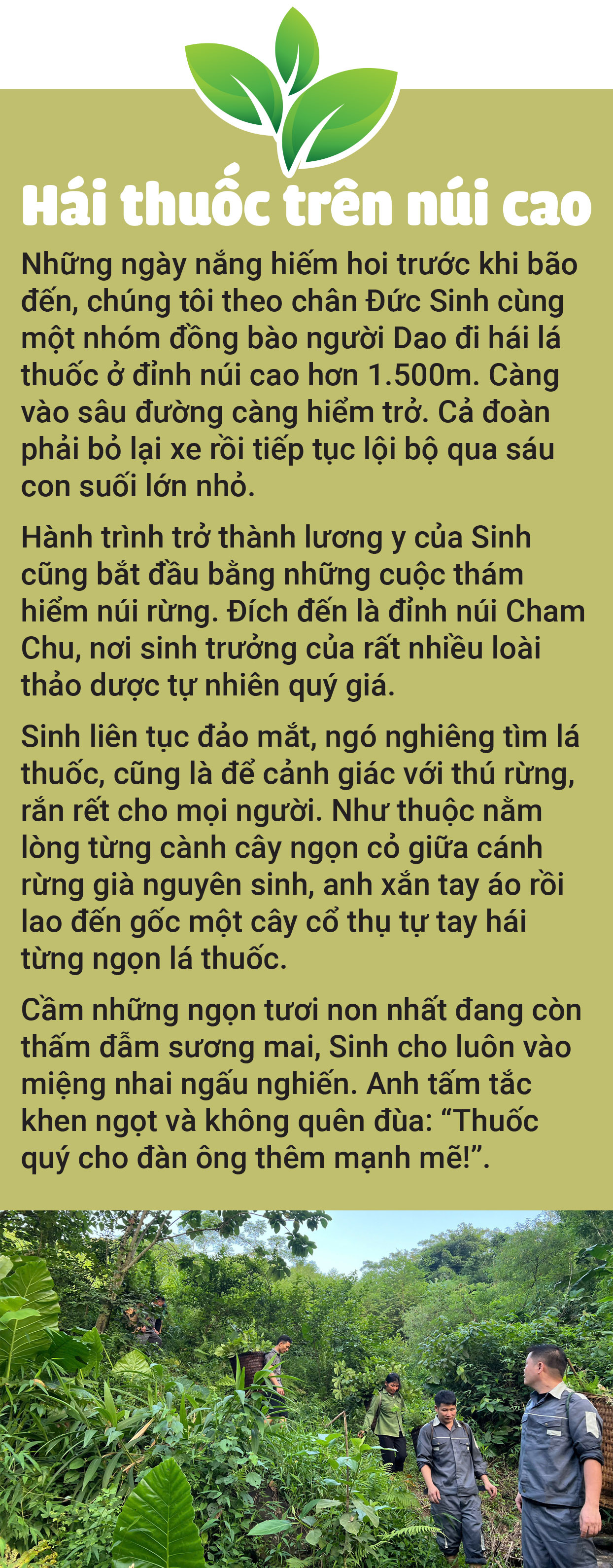 Đưa tinh hoa Cham Chu xuống núi giúp người - Ảnh 10.