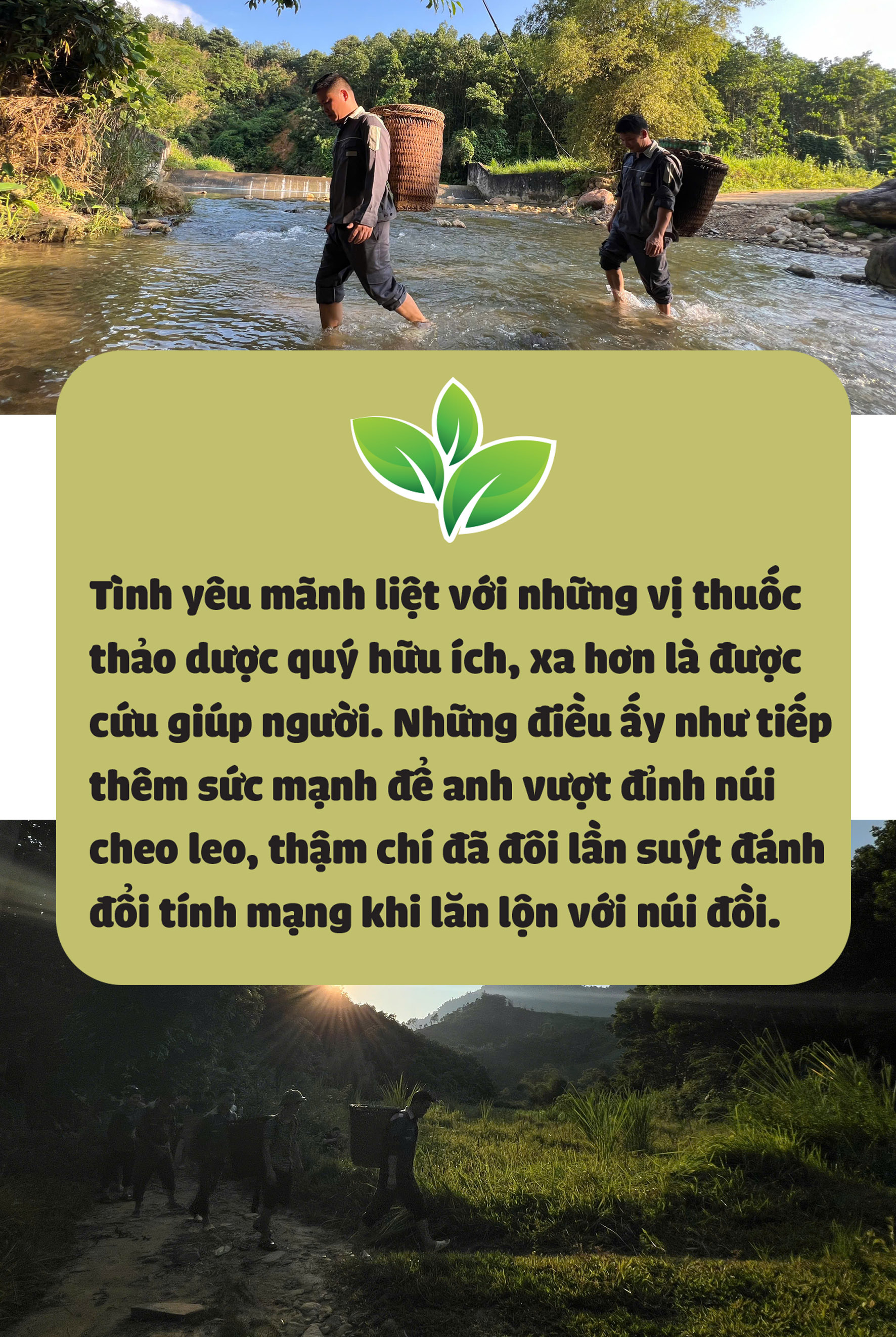 Đưa tinh hoa Cham Chu xuống núi giúp người - Ảnh 4.
