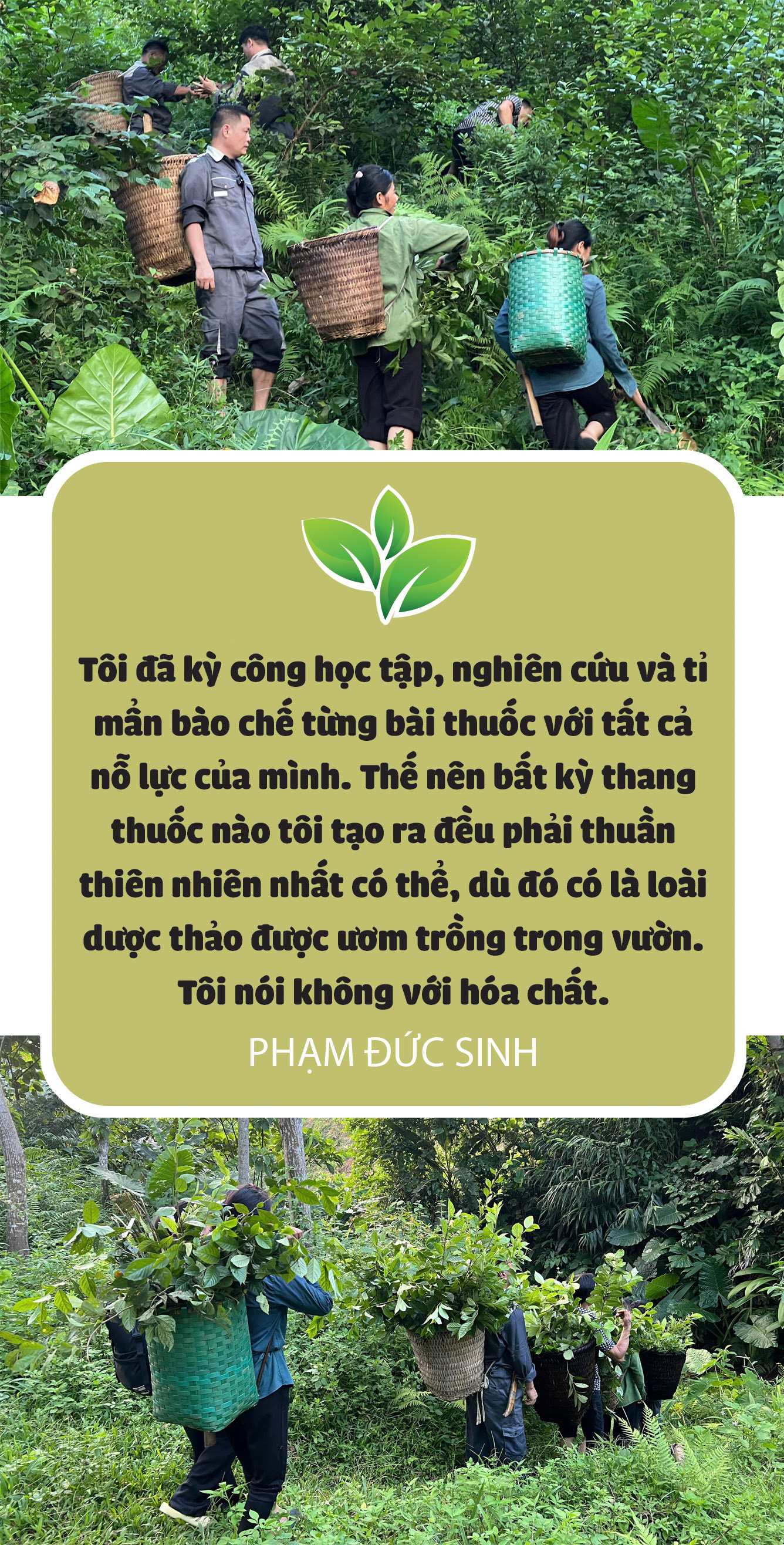 Đưa tinh hoa Cham Chu xuống núi giúp người - Ảnh 7.