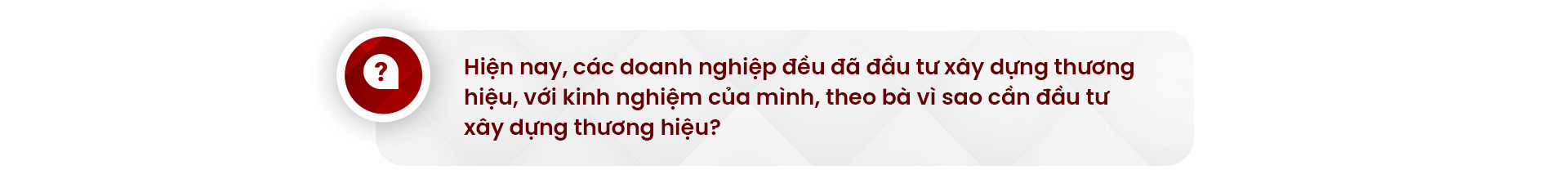 Bà Thái Minh Diễm Tú, giám đốc khối tiếp thị Techcombank: Chiến lược khác biệt tạo nên thương hiệu - Ảnh 17.