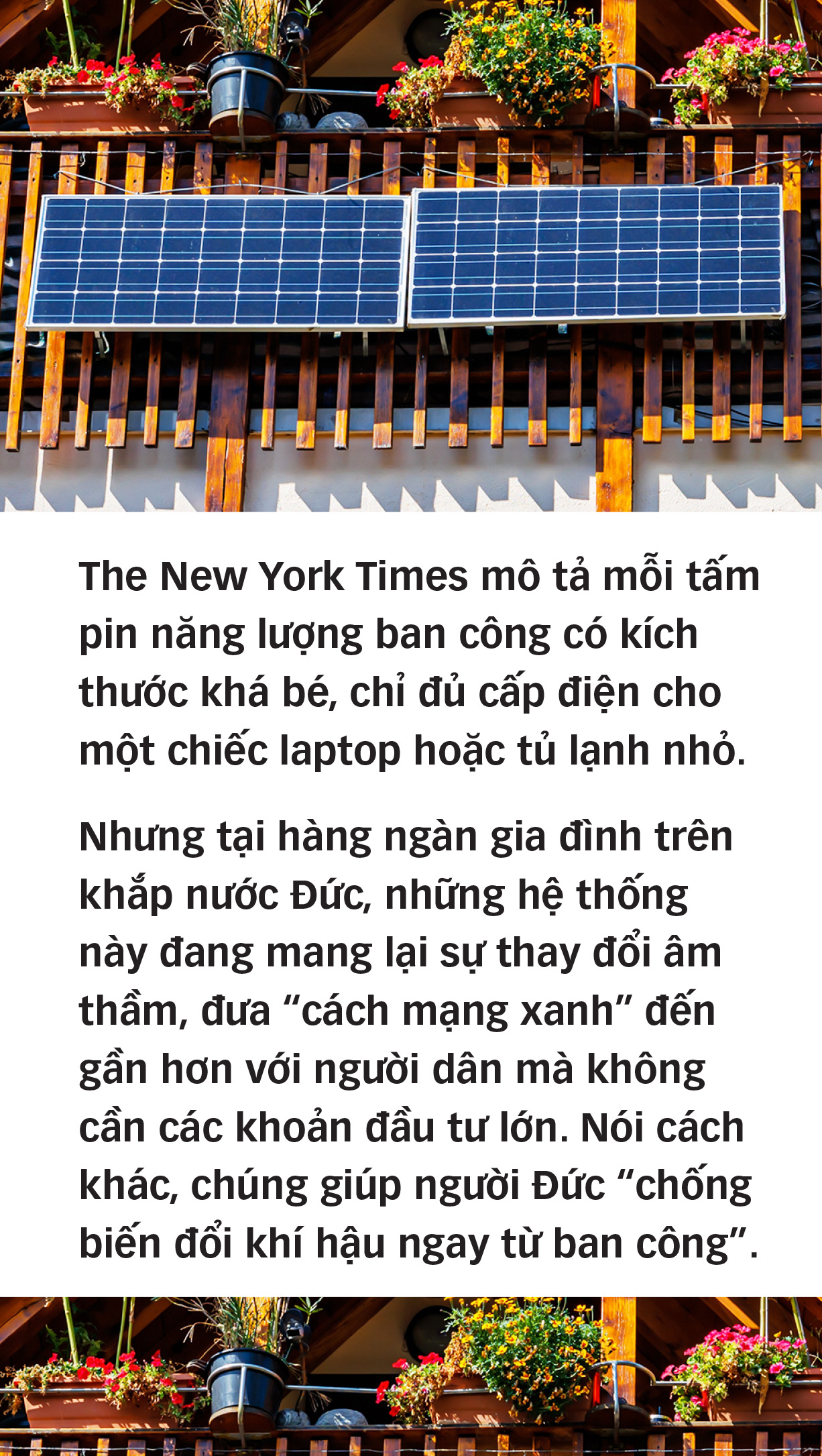 Chống biến đổi khí hậu từ ban công - Ảnh 2.