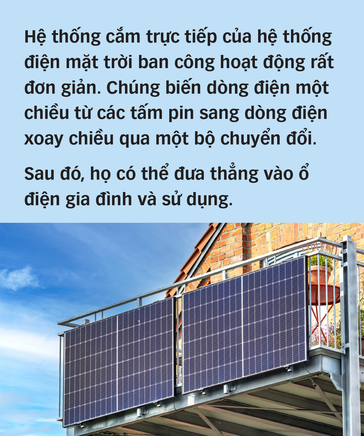 Chống biến đổi khí hậu từ ban công - Ảnh 5.