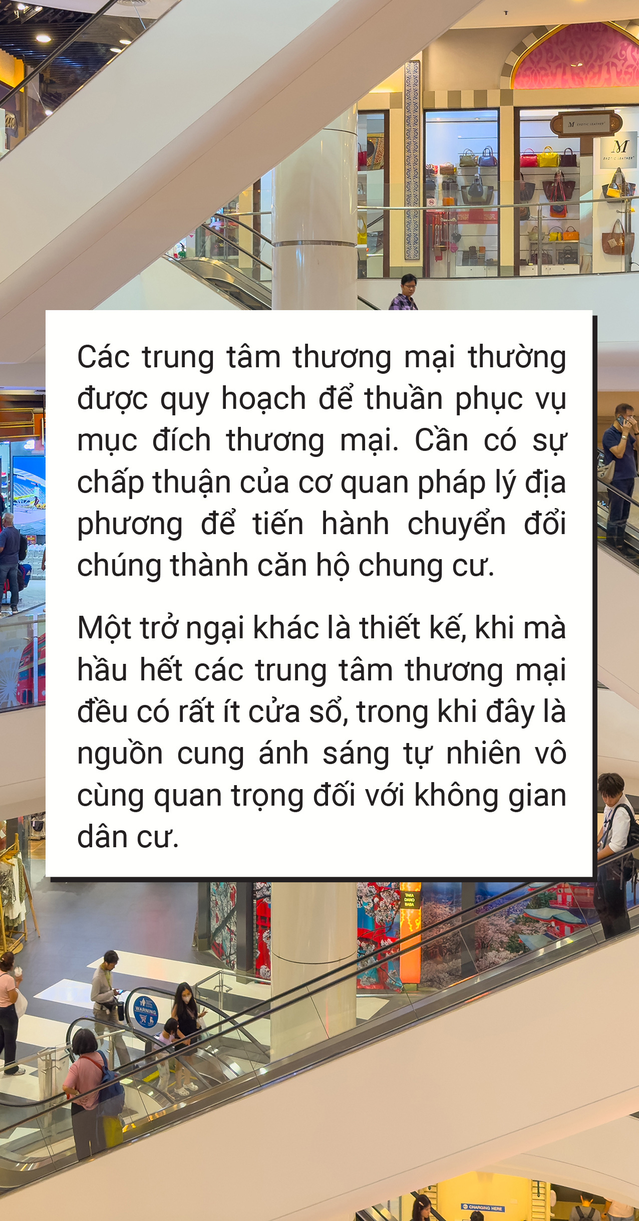 Nơi ta mua sắm cũng là nơi ta ở - Ảnh 4.