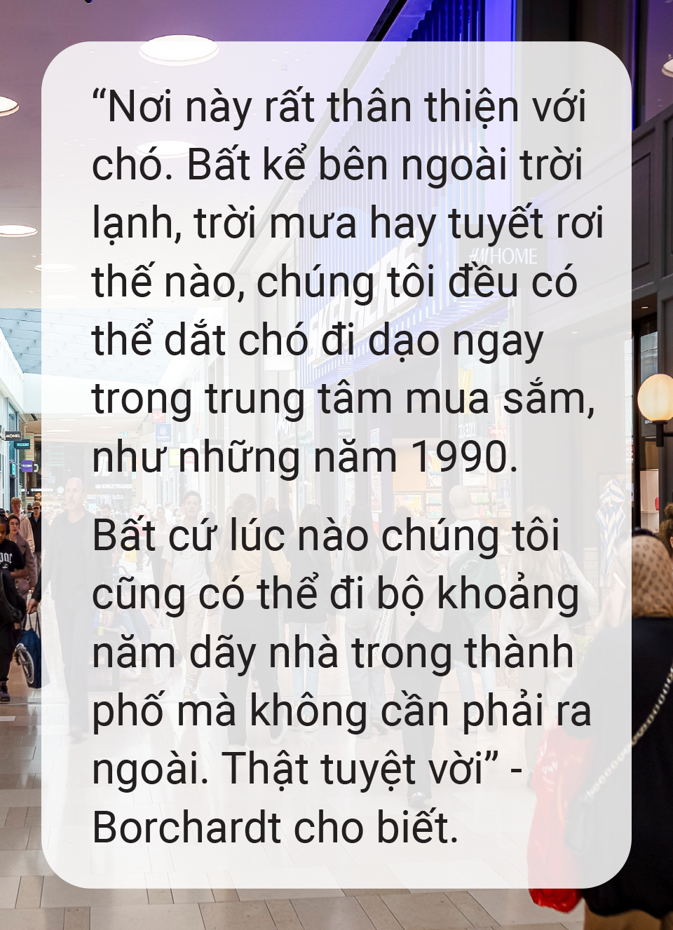 Nơi ta mua sắm cũng là nơi ta ở - Ảnh 7.