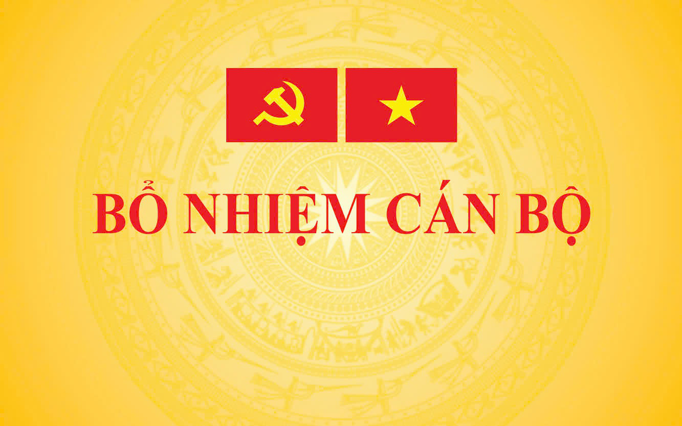 Bổ nhiệm ông Phạm Mạnh Cường làm phó chủ nhiệm Văn phòng Chính phủ - Ảnh 1.