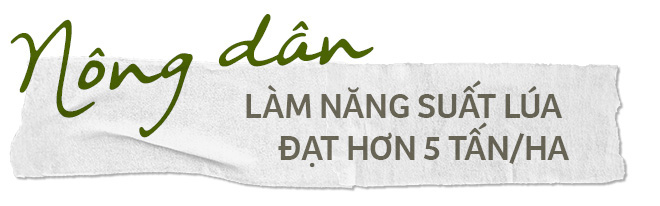 Đề án 1 triệu ha lúa giúp dân Kiên Giang hưởng lợi - Ảnh 2.