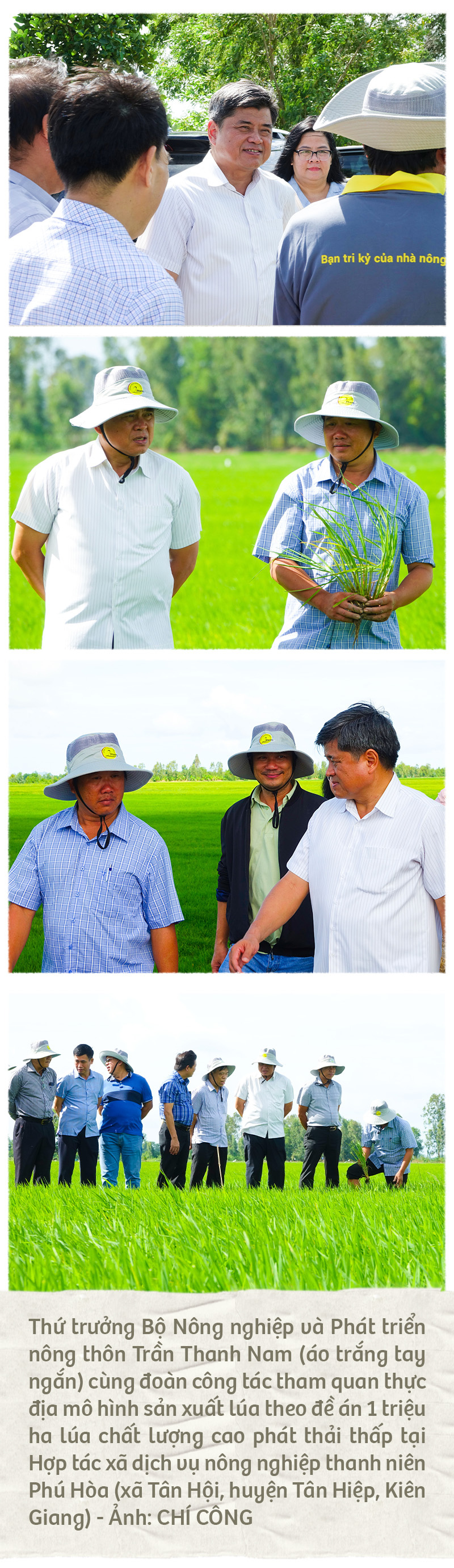 Đề án 1 triệu ha lúa giúp dân Kiên Giang hưởng lợi - Ảnh 5.