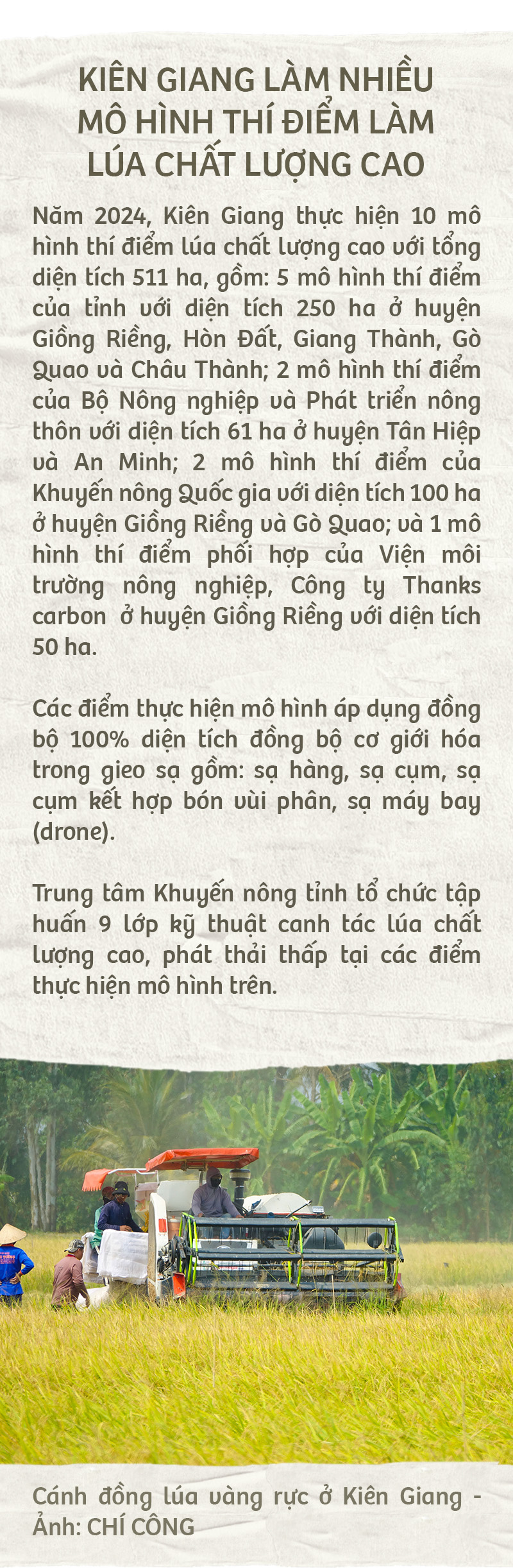 Đề án 1 triệu ha lúa giúp dân Kiên Giang hưởng lợi - Ảnh 9.