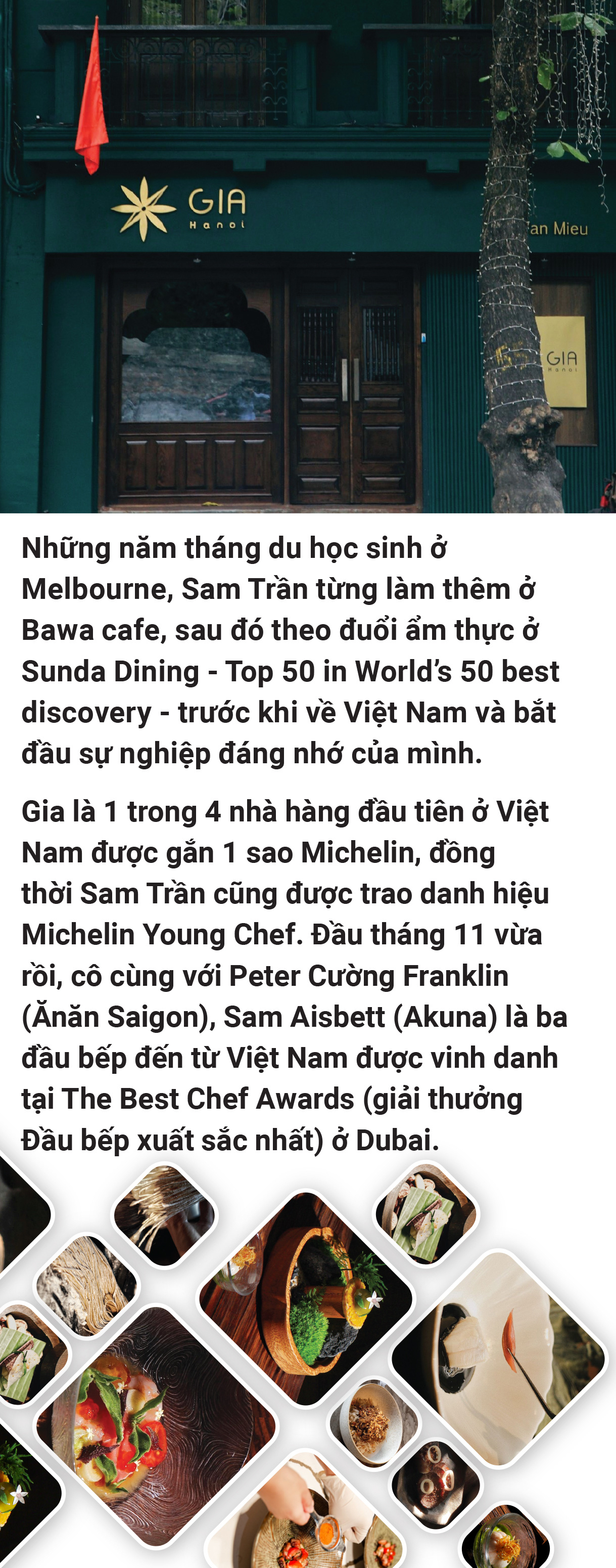 Sam Trần đi trong rừng vàng biển bạc - Ảnh 4.